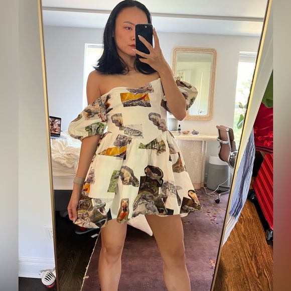 Fashion Brand Company Lizard Virgin Dress - Picture 3 of 9